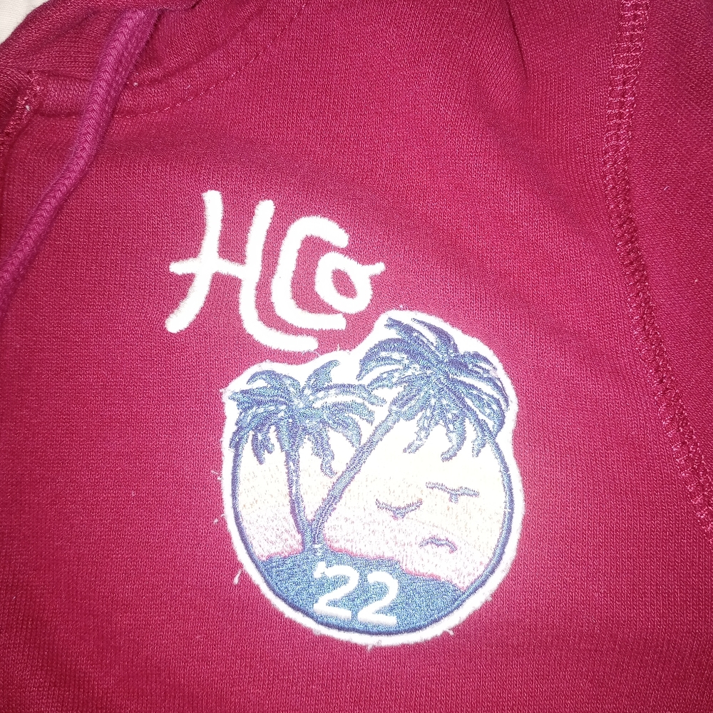 Hollister Hoodie - Picture 2 of 4